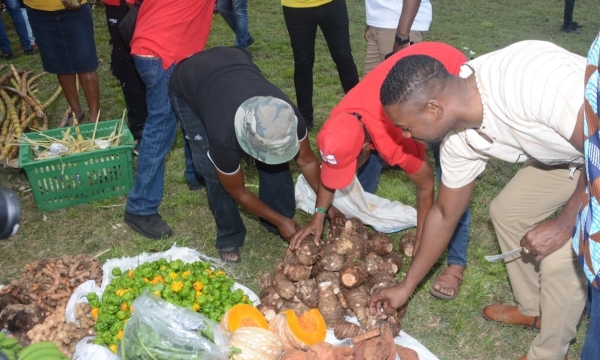 Mayor of Montego Bay and Chairman of the St. James Municipal Corporation, Councillor Richard Vernon (right), inspects produce on display during the 41st Montpelier Agricultural and Industrial Show on Easter Monday (April 1). The event was held at the Montpelier Show Ground in St. James.