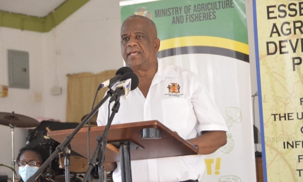 Minister of State in the Ministry of Agriculture, Fisheries and Mining, Hon. Franklin Witter