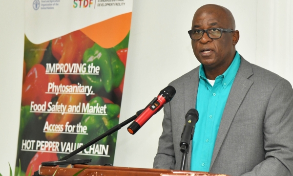 Chief Technical Director in the Ministry of Agriculture, Fisheries and Mining, Orville Palmer, delivers a speech on behalf of Minister of State, Hon. Franklin Witter, at the Fresh Produce Exporters Forum on Monday (March 25), at the Medallion Hall Hotel in Kingston.